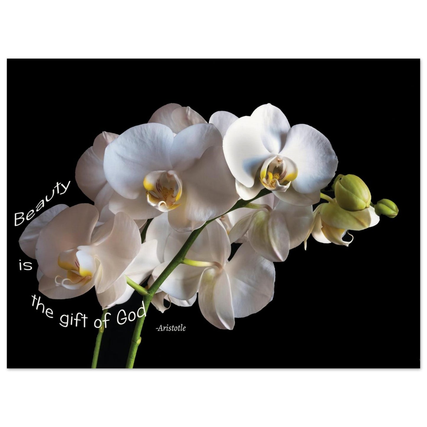 078db4bb-cc87-46c1-925a-b085e1f985ba