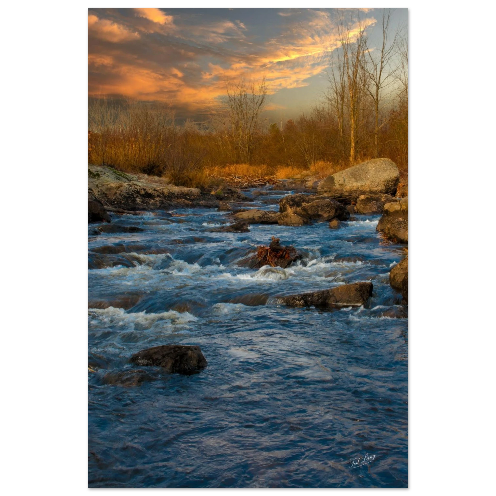 16c4191d-0d23-40da-b868-1f8b2837b131