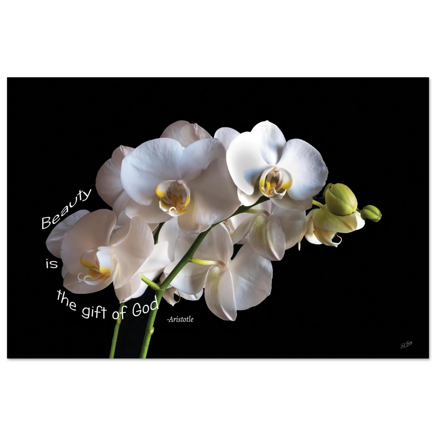88215bf6-9f47-4dce-9eeb-5db42048b965