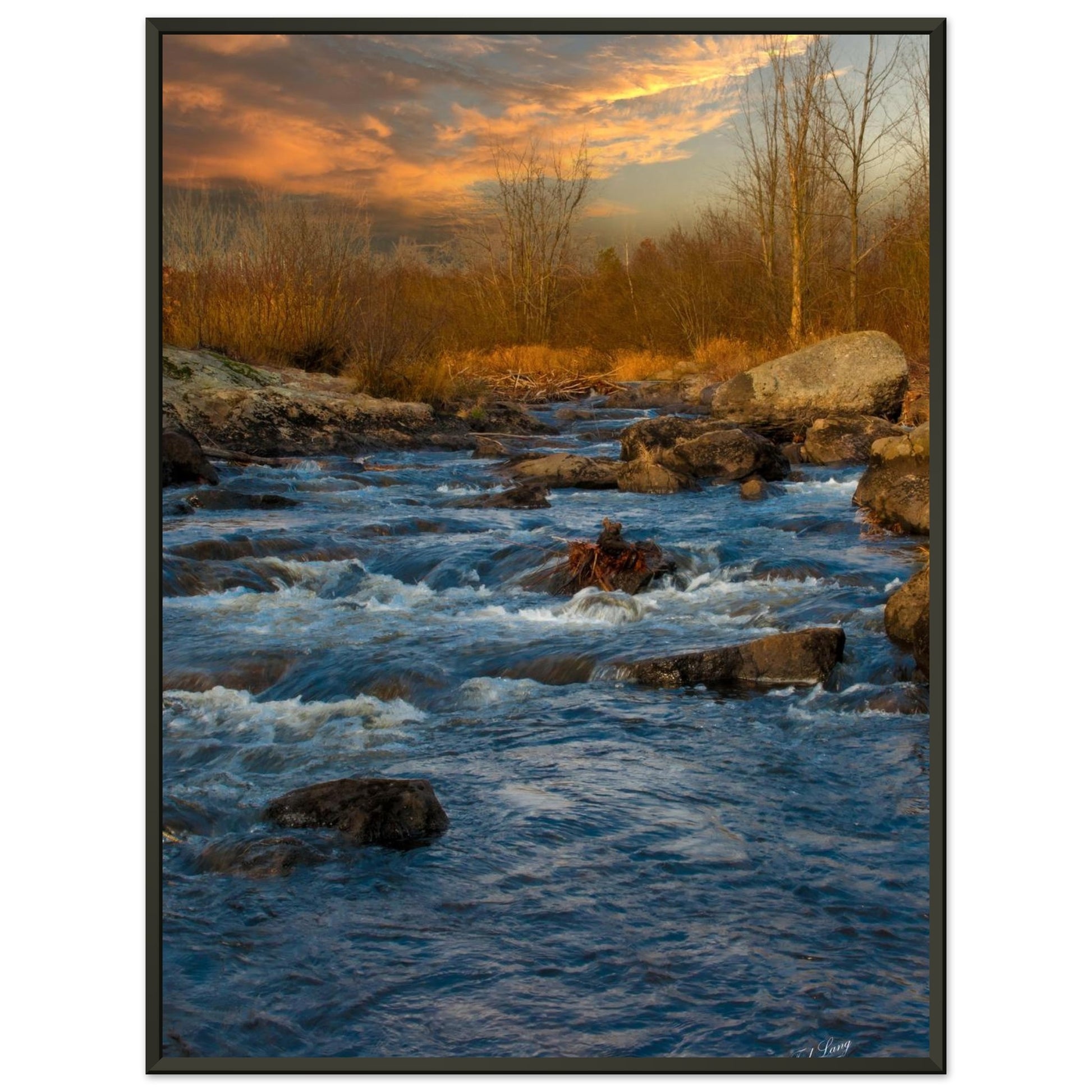 8eb86d2e-ace3-4c5f-b78c-759677928f70