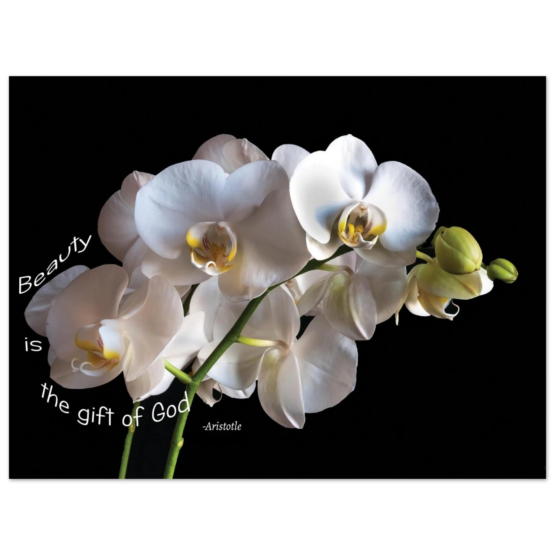 d64576ca-3ff4-411c-8ad5-5f5dbba0d5af