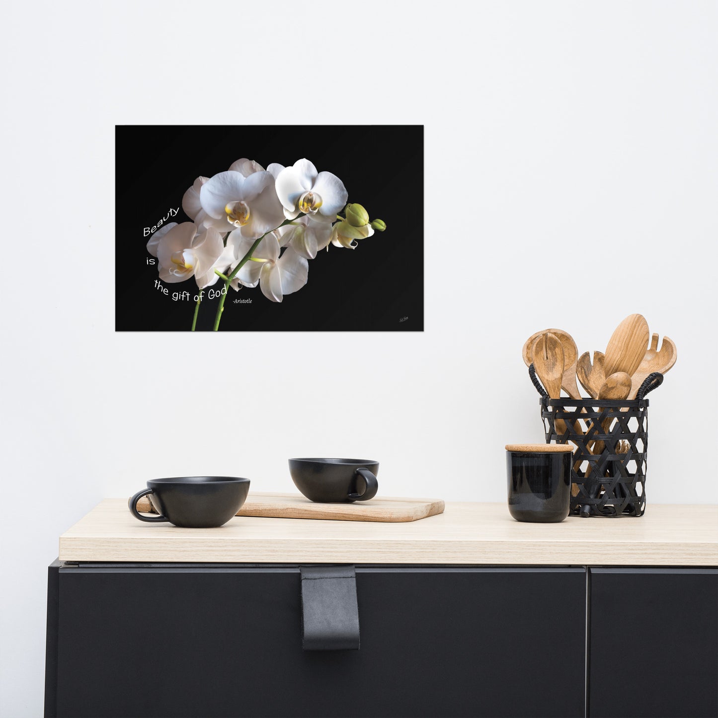 White Orchid Print Aristotle Quote - "Beauty is the gift of God" - Inspirational spiritual Wall Art. Dramatic Black Background Floral art.