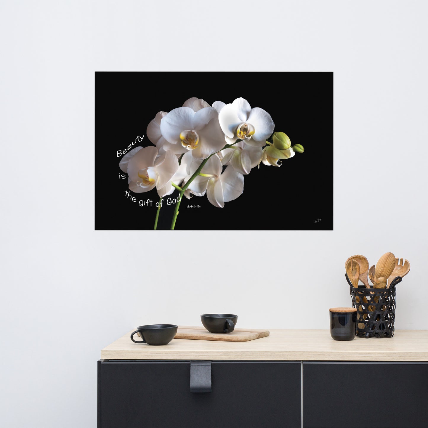 White Orchid Print Aristotle Quote - "Beauty is the gift of God" - Inspirational spiritual Wall Art. Dramatic Black Background Floral art.
